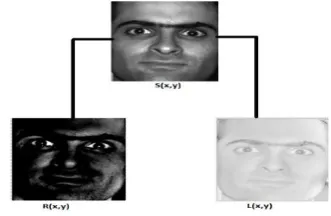 Fig 2: S(x,y) Original Image, R(x,y) Reflectance Image, L(x,y) Illumination Image 