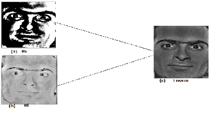 Fig 5: (a) shows the smoothed small scale features Rs (b)                                                                                                                               shows the normalized large scale features Rl (c) is the reconstructed im