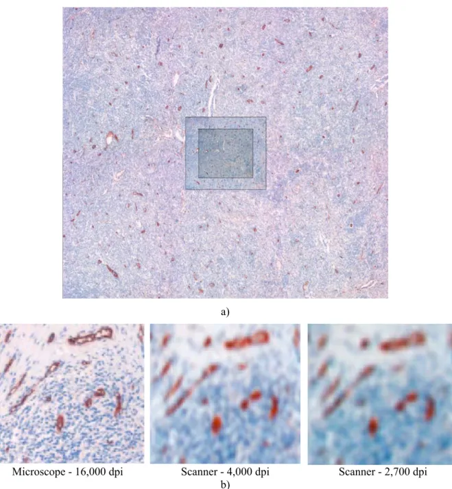Fig. 1. Test images recorded at three different resolutions. On Fig. 1a, a triplet of images is shown at a size proportional to the initial resolutions