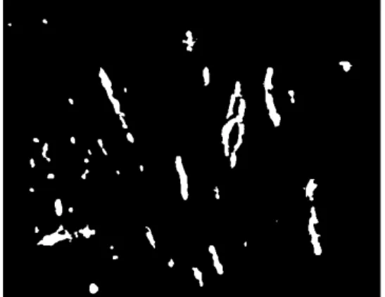Fig. 2. Steps of numerical image preparation and interactive blood vessel identification taking a small detail of a microscopical image as an example.