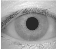 Figure 3: Original image from database 