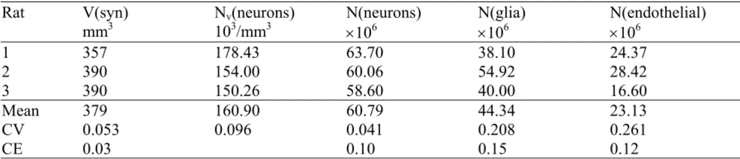Table 2. Stereological parameters in rat syncortex (both hemispheres) using optical disector in Nissl-stained, 20 µm plastic sections.
