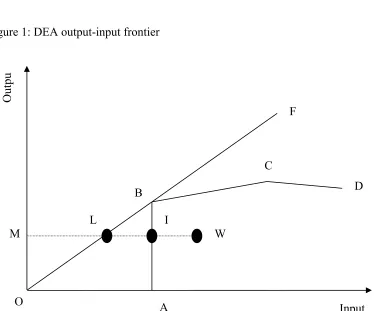 Figure 1: DEA output-input frontier 