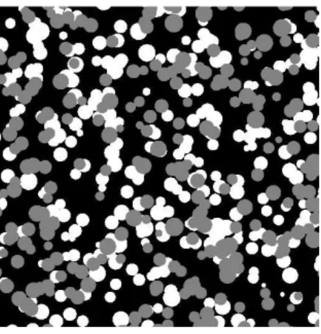 Fig. 5. A simulation of a three-phased Boolean model. Both Boolean models have intensity λ  0  0005 and random balls with Gaussian radii with parameters E  R  20 and E  R 2  449.