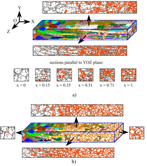 Fig. 4. Simulated microstructure evolution during recrystallization: a) intermediate state, with x as the relative distance from the low deformation end; b) final stabilized state.