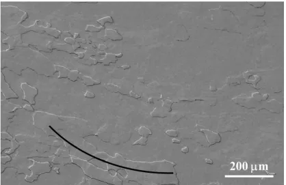 Fig. 5. Partially recrystallized microstructures of Al-0.5%Zr sample, taken at a relative distance x = 0.05 from the low deformation end