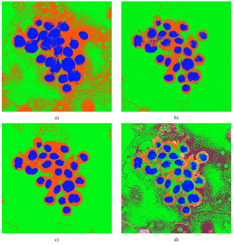 Fig. 2. The marginal segmentation maps of the microscopic image shown in Fig. 5a and the resulting label concordance map