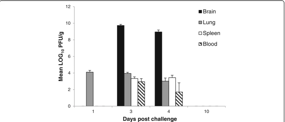 Fig. 3 Mean viral load of EEEV Pe-6 in Balb/c mice exposed to 5.5 x MLD by the aerosol route