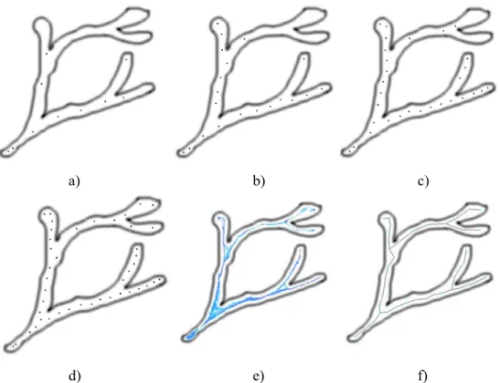 Fig. 2. Synthetic tree-like object. 2a, 2b, 2c and 2d: Evolution of the particle system