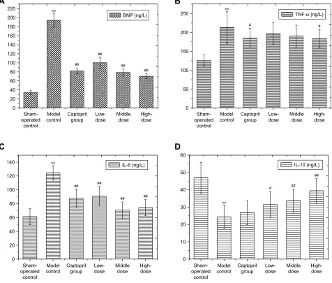 Figure 9 Effects of the PF on the expression of Caspase-3 and Caspase-9 (IOD) in rats with myocardial infarction (x–±s).Notes: (A) Caspase-3, (B) Caspase-9
