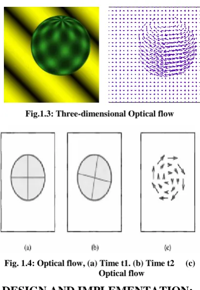 Fig.1.3: Three-dimensional Optical flow 