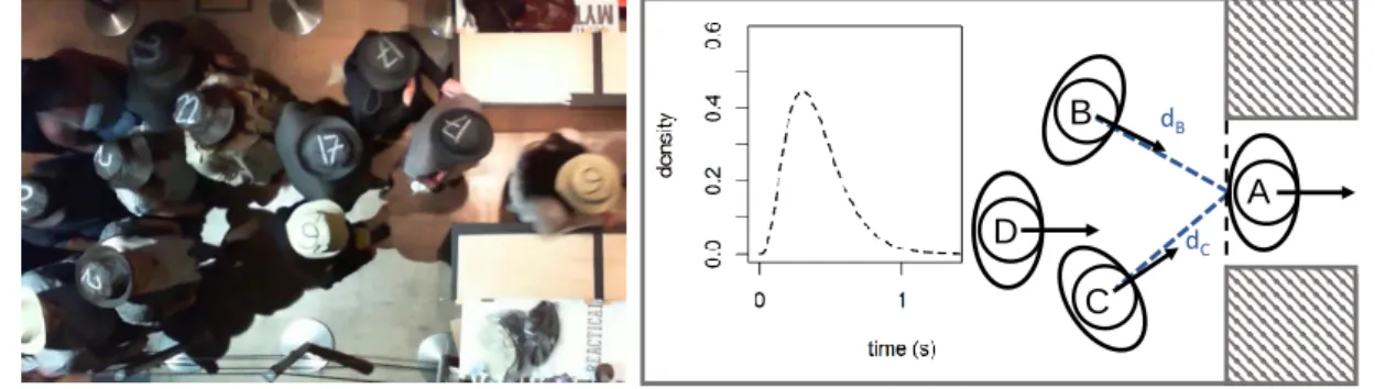 Figure 2 Example for a statistical model used to investigate pedestrian dynamics at bottlenecks [6, 7]