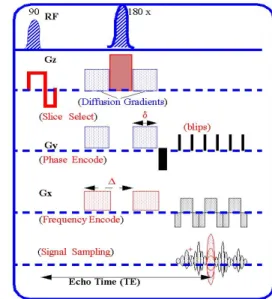 Fig. 2. Schematic of the spin-echo bipolar gradient  diffusion tensor imaging pulse sequence and the  DT-MRI parameter space