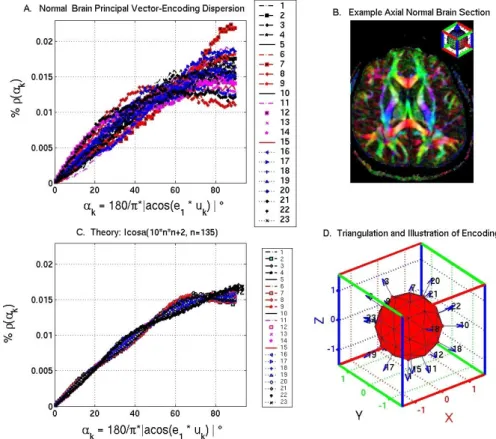 Fig. 6. A test of the isotropic distribution of brain fibers hypothesis on a normal subject (A,B)