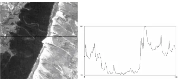 Fig. 2. Original image (left) and 1D signal (signal) corresponding to the cut on the left image (magnitude  (vertical axis) versus dimensionless unit of length (horizontal axis)