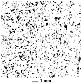 Fig. 2. 1981 × 2047 binary image of a sandstone  from the Tarbert Formation. Image Size: 10.3 × 10.7  mm; pixel size: 5.208  µ m