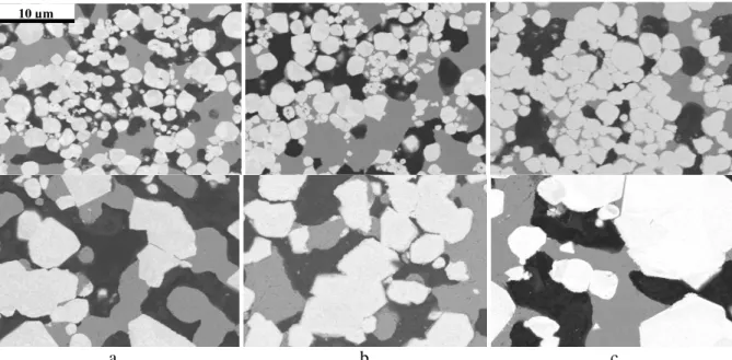 Fig. 1. Evolution, during the isothermal (1050°C) solid state sintering, of the microstructure of two W-Cu  mixtures: a fine one (ff, 1 st  line) and a gross one (fg, 2 nd  line)