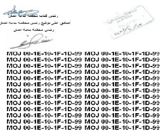 Fig 5: Original No-criminal record certificate (above) and the augmented watermark (below)