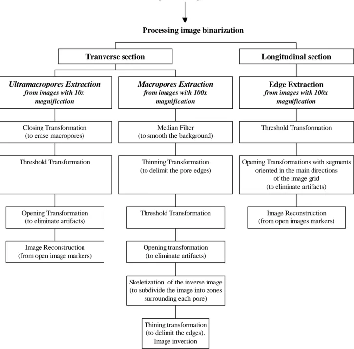 Fig. 2. Processing image binarization scheme to extract ultramacropores, macropores and pore orientations