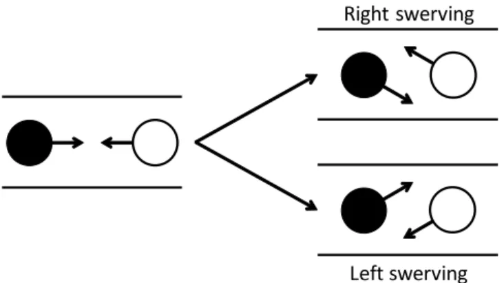 Figure 1 Schematic view of collision avoidance by swerving in bidirectional flow.
