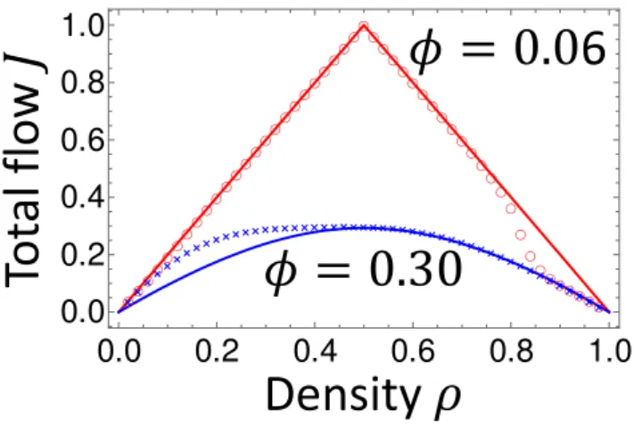 Figure 6 Cross-section diagrams of Fig. 5 (right) at φ = 0.06 and 0.30. We see that the flow of the simulation (φ = 0.06) agrees well with that of the TASEP (q = 1.0) in the most part of the curve (ρ ≤ 0.8)