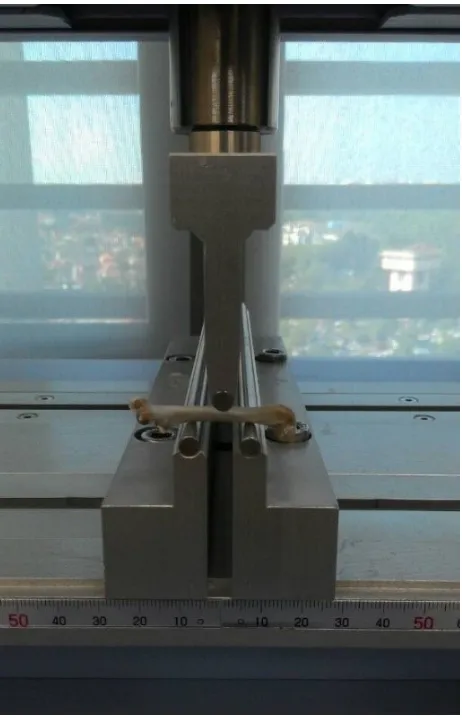 Figure 2 Biomechanical strength test on femur.Notes: The biomechanical strength of the femur is tested using a three-point bending test