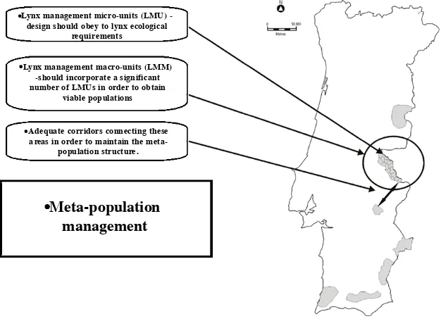 Fig. 2. Landscape units for the  application of the Iberian lynx Conservation Action Plan.