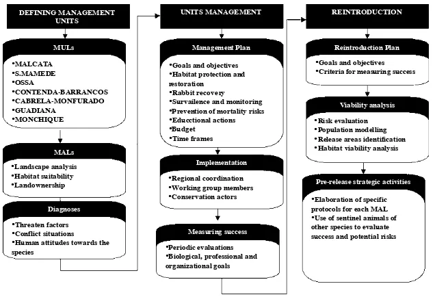Fig. 4. Phases and application of the Action Plan for Iberian lynx conservation in Portugal.