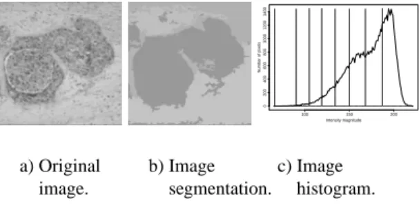 Fig. 3. Segmentation of a microscopic image.