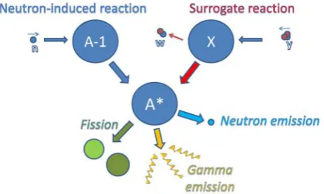 Fig. 1: Schematic representation of the surrogate reaction method. The surrogate reaction is here a transfer reaction X(y,w)A*