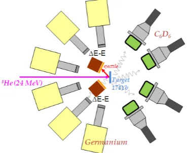 Fig. 2 : Top view of the experimental set-up for radiative capture probability measurements