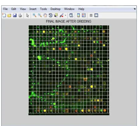 Fig 30: Gridded Poor Image. 