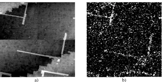 Fig. 3. a) topography of a partly oxidised Cu(100) surface. b) spatial variation of the current noise power spectral density in the range of 9.75 - 10.25 kHz