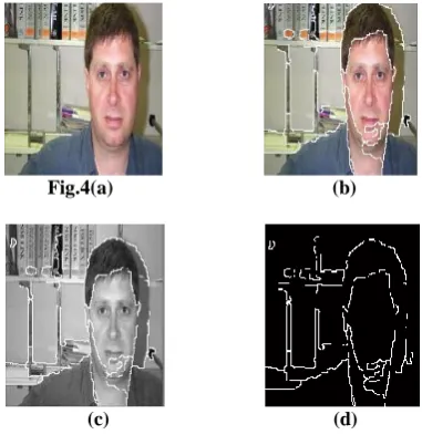 Fig. 2 (a) Original Image              (b) Initial Segmented        Image by using mean-
