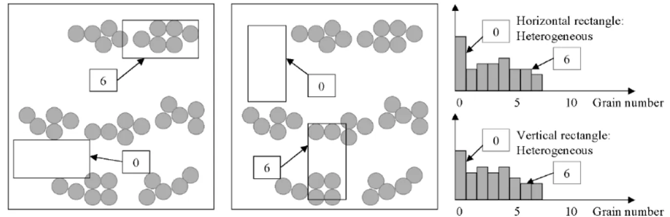 Fig. 4. Histogram of local grain number. At this scale, the structure is isotropic.