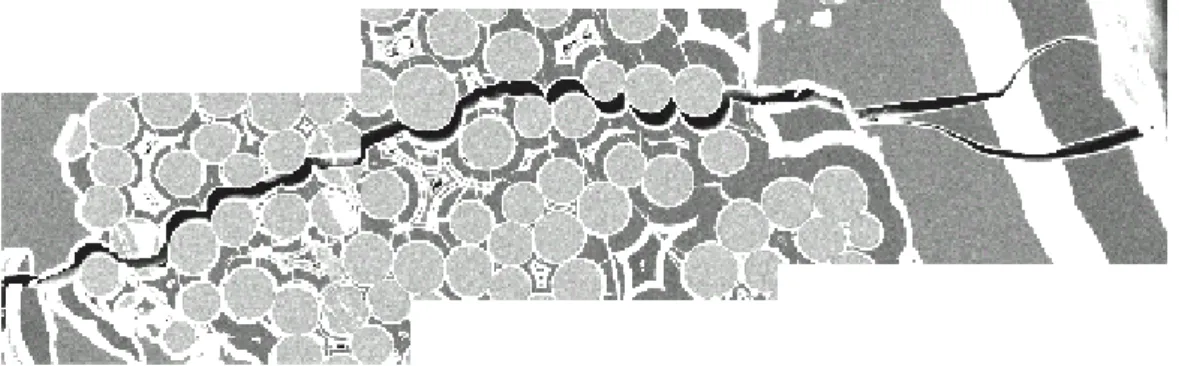 Fig. 3. Evolution of a transverse matrix microcrack in a N1 SiC f -SiBC composite, during the creep at 1473 K, under 120 MPa, for different creep times (t) and inelastic deformations (ε in ).