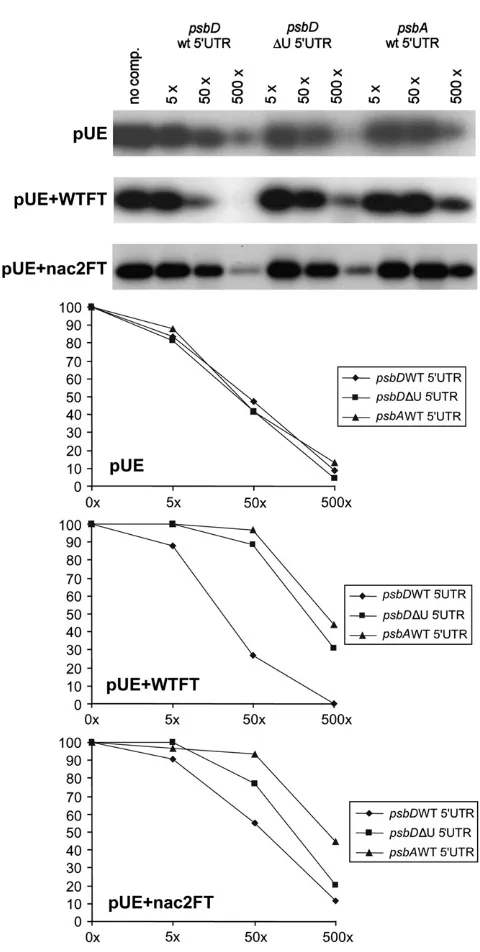 Figure 2. Nac2 Confers RNA Binding Speciﬁcity on RBP40.
