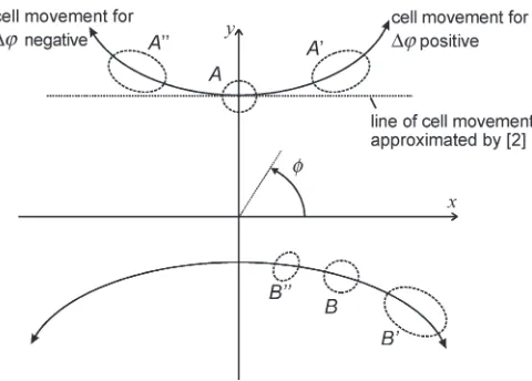 Fig. 1.Displacements of cell footprints in the plane of the ground xy forplatform roll angle change.
