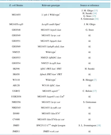 Table 1. Escherichia coli K12 strains used in this study.                                      