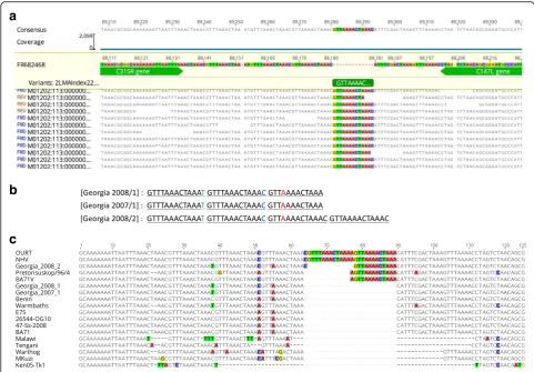 Fig. 2 a Sequence read mapping of the C315R/C147L locus TR insertion in 2008/2 at the intergenic region between genes C315R (TFIIB-like protein)and C147L (RNApol subunit 6)