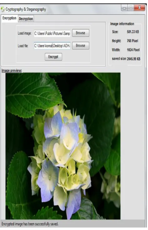 Fig 4: Snapshot of encryption window  