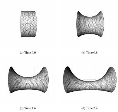 Figure 2: Liquid-bridge problem: St� 1, Ca� 1