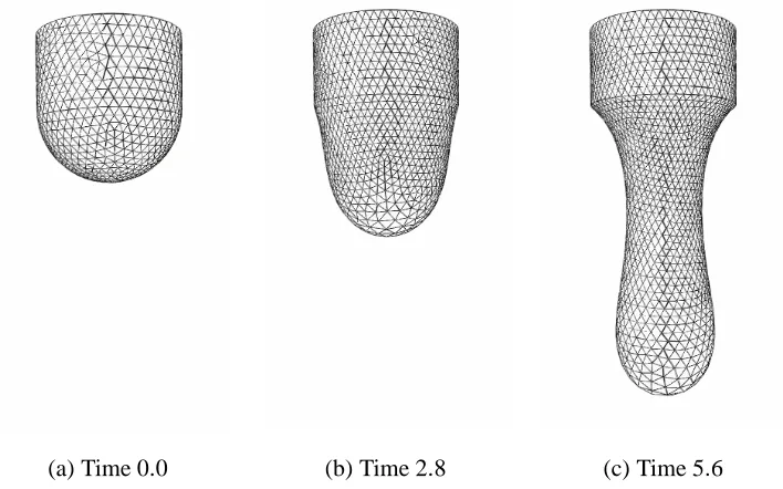 Figure 3: Droplet-formation problem: St� 2, Ca� 1