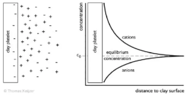 Figure 2: Distribution of cations and anions adjacent  to a clay platelet according to the diffuse double layer 