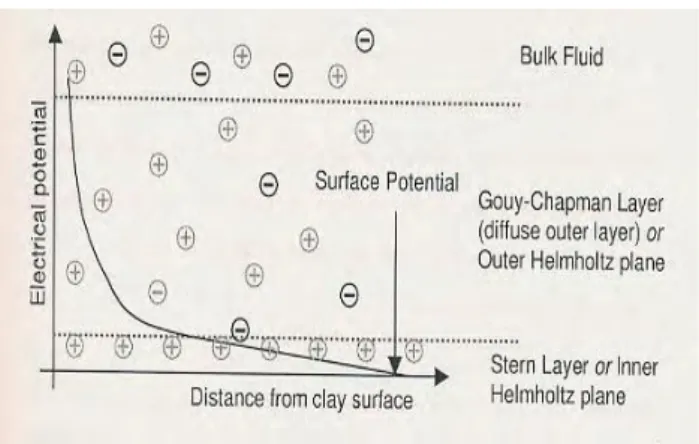Figure 4: Typical variation of electrical potential with  distance from clay surface