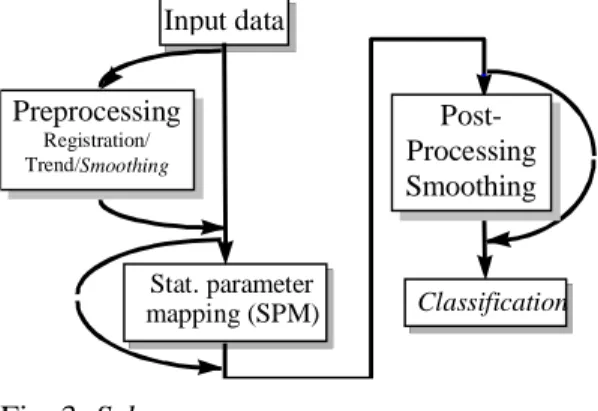 Fig. 2. BOLD effect.  Fig. 3. Scheme. 