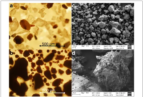 Fig. 3 Optical and scanning electron microscope (SEM) pictures of the simulants used in COLLIDE and PRIME experiments