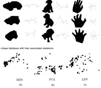 Fig. 8. Examples from the shape database with their associated skeletons.