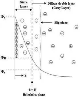 Figure  1:  Stern’s  model  and  ions  distribution in the electric double layer 