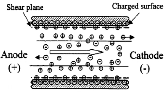 Figure 2: Schematic of electro osmotic  flow between two charged surfaces 